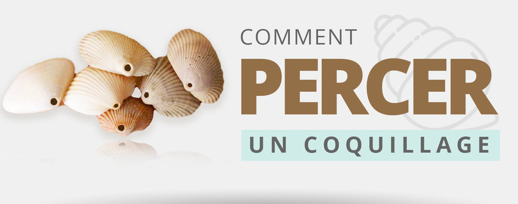 Comment Percer un Coquillage