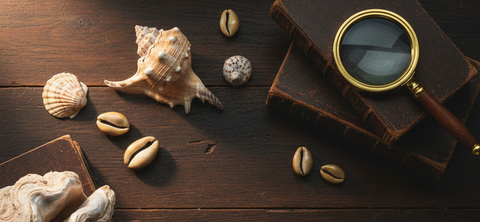 L'Océan des Merveilles : 7 Anecdotes Insolites sur les Coquillages