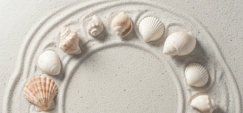 Coquillages et Chakras : Quand la Nacre Élève l'Esprit 🐚✨